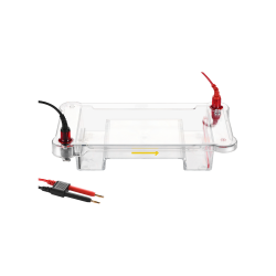 Security System : Electrophoresis